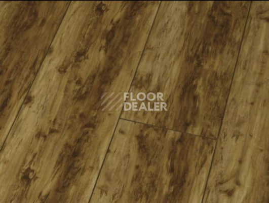Ламинат Falquon Blue Line Wood 8mm D2272 CANYON OLD BIRCH фото 1 | FLOORDEALER
